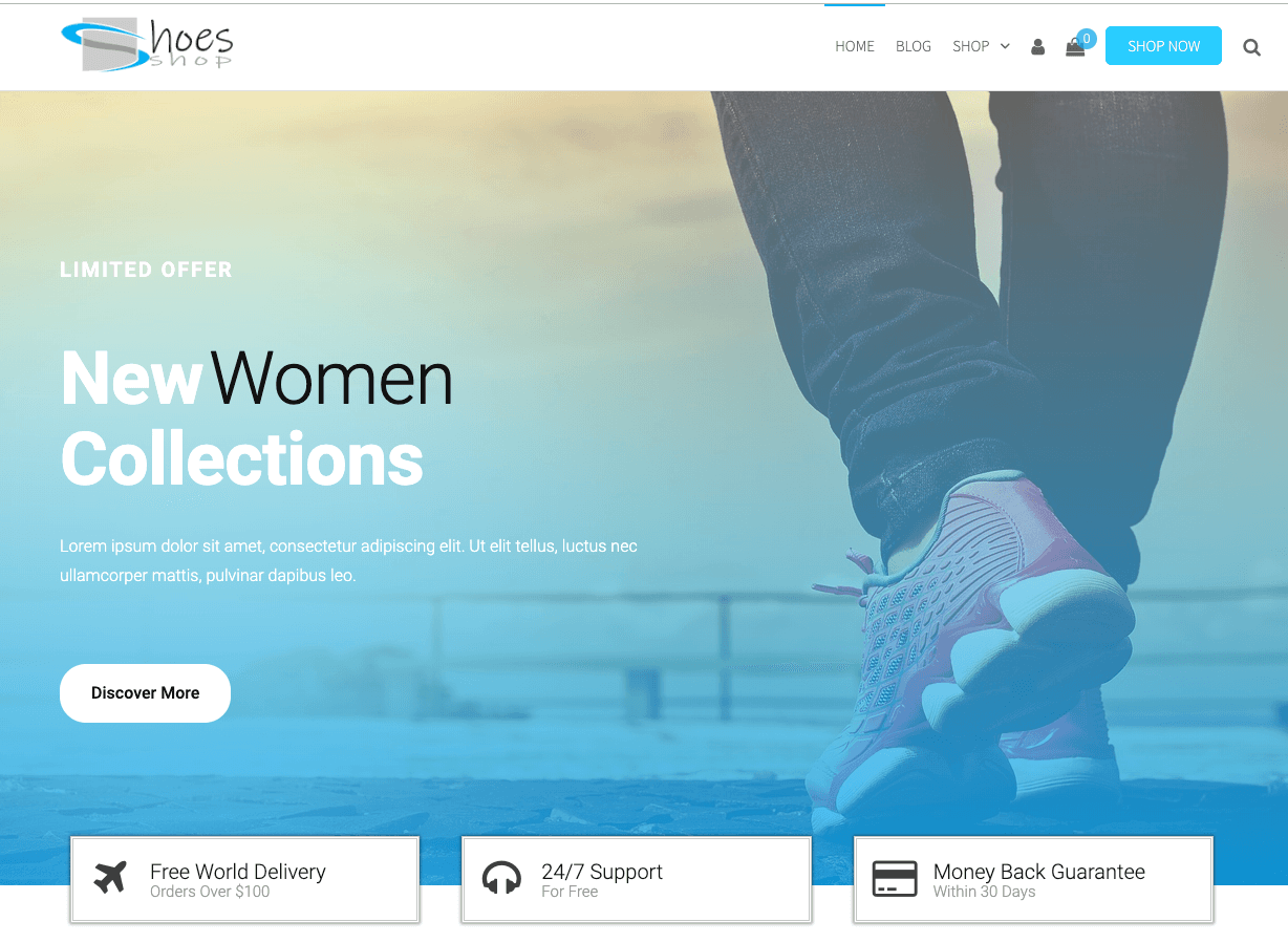 futurio wp theme