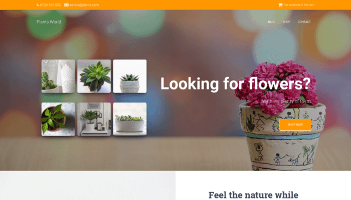 Hestia WP theme