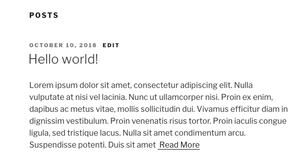 wordpress post excerpt custom read more text