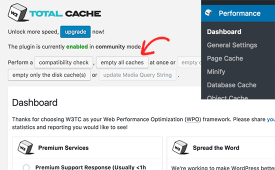 Clear cache on the WordPress Website