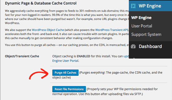 Clear cache on the WordPress Website