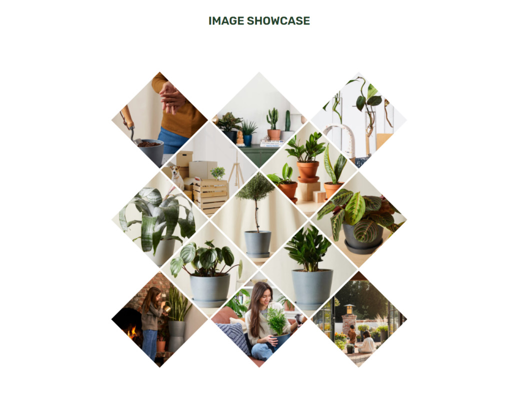 Image Gallery in Elementor